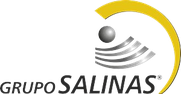 Grupo Salinas